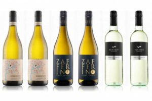 Bild von Virgin Wines White Wine Case – 6 Bottle WineBank Welcome Offer