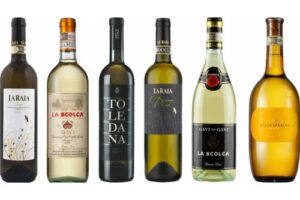 Bild von 8Wines.com Gavi Tasting Case