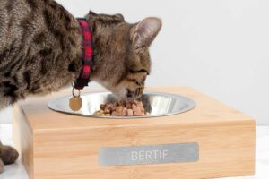 Bild von Treat Gifts Personalised Bamboo Pet Bowl