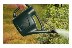 Bild von Six-Litre Watering Can: One