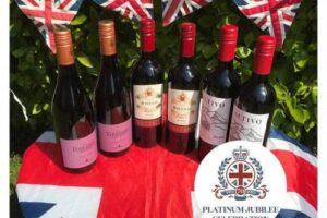 Bild von Mixed Wines Platinum Party Case of Red Wines