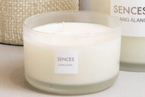 Bild von White Alang Alang 4 Wick Scented Candle