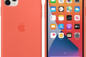 Bild von Apple iPhone 11 Pro Max Silicone Case Clementine Clementine